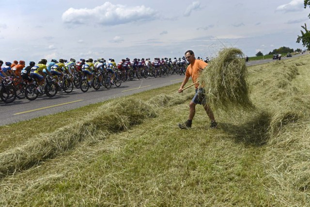 El pelotón pasa cerca de un granjero durante la cuarta etapa de la vuelta ciclista suiza, de 160,4 kilómetros, de Heiden to Ossingen, en la 78º edición de la vuelta a Suiza (Jean-Christophe Bott / EFE)
