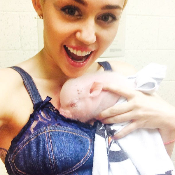 Miley Cyrus mascota