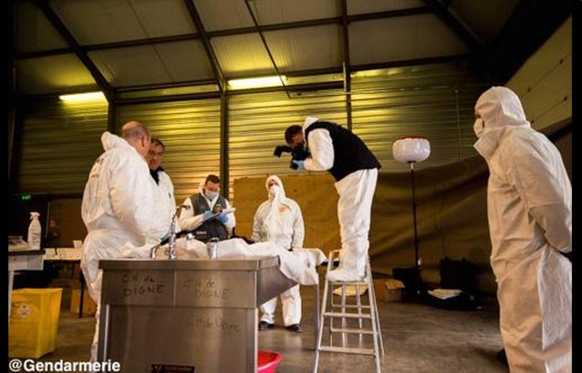 A handout photo released by the French Gendarmerie shows their forensic experts of the disaster victim identification unit at Seyne-les-Alpes