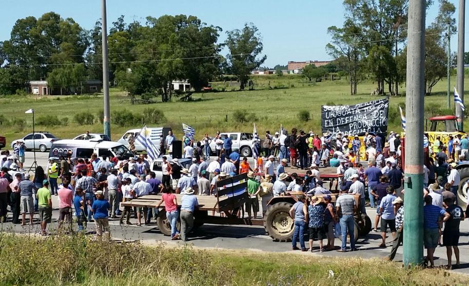 Foto: Ariel Colmegna/ El País Uruguay