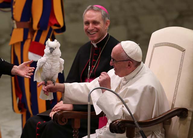 Pope Francis receives a parrot from a performer of the Golden Circus during his Wednesday general audience in Paul VI Hall at the Vatican December 28, 2016. REUTERS/Alessandro Bianchi