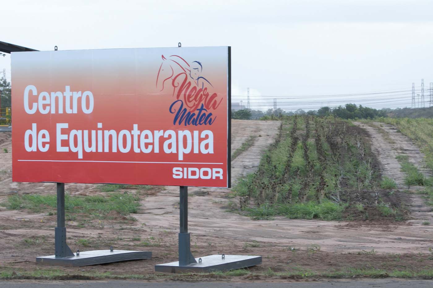 A billboard that reads " Equine-assisted therapy Center" is seen in front of a dried sunflowers field at the entrance of the Sidor steel plant in Puerto Ordaz, Venezuela March 5, 2017. Picture taken March 5, 2017 REUTERS/Stringer FOR EDITORIAL USE ONLY. NO RESALES. NO ARCHIVES.
