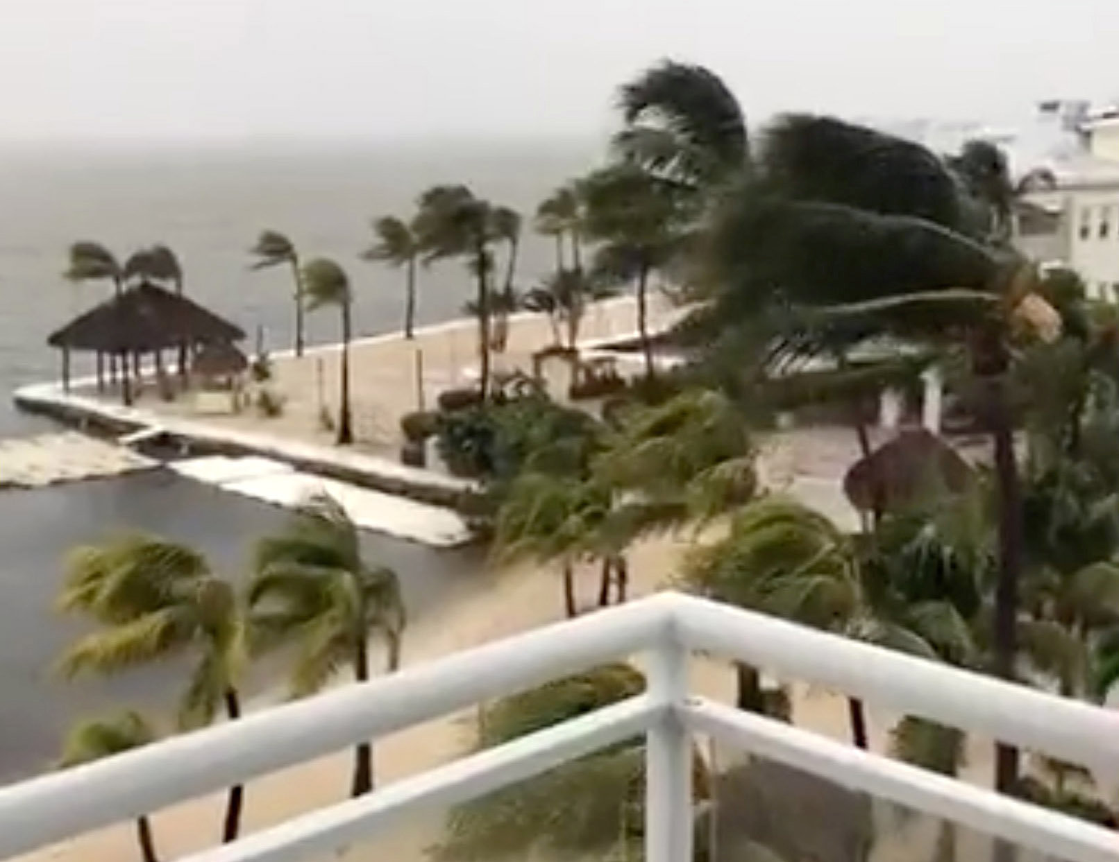 Palm trees sway as strong wind blows in Key Largo, Florida, U.S., September 9, 2017, in this still image taken from a video obtained from social media. Picture taken September 9, 2017. Facebook/Laura Kushner Gibson/via REUTERS THIS IMAGE HAS BEEN SUPPLIED BY A THIRD PARTY. MANDATORY CREDIT. NO RESALES. NO ARCHIVES