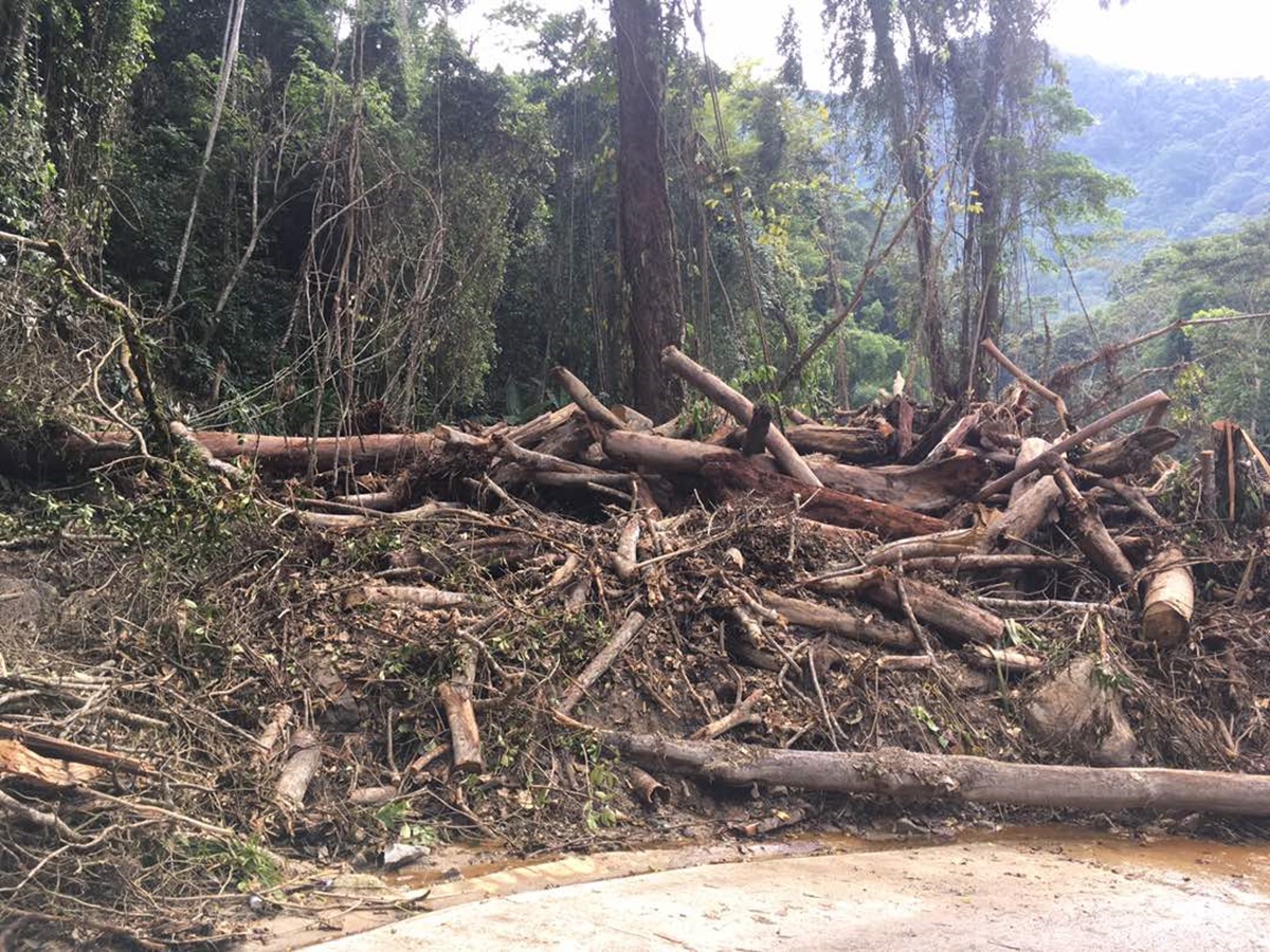 Deslizamientos de tierra en plena vía hacía Choroní  / Foto:  Vanessa Rodríguez