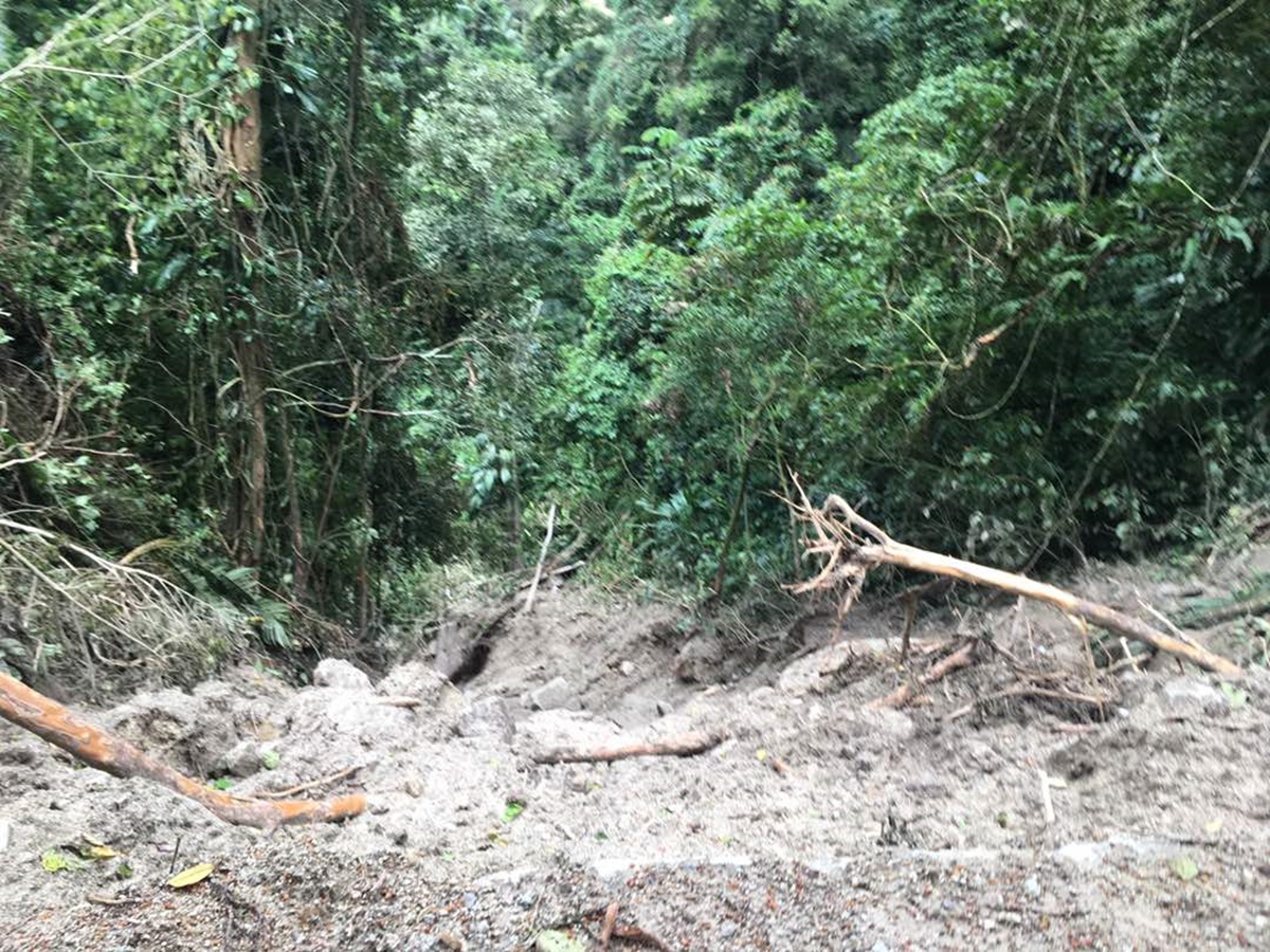 Deslizamientos de tierra en plena vía hacía Choroní  / Foto:  Vanessa Rodríguez