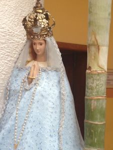 Apareció la Virgen del Valle en una palmera (Fotos)