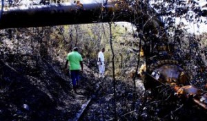 Vecinos reportan derrame de petróleo en Naricual (Foto)