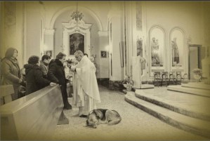 El perro que llora la muerte de su dueña en la iglesia (Foto)