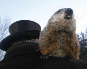 Habló la marmota Phil: Se acabó el invierno