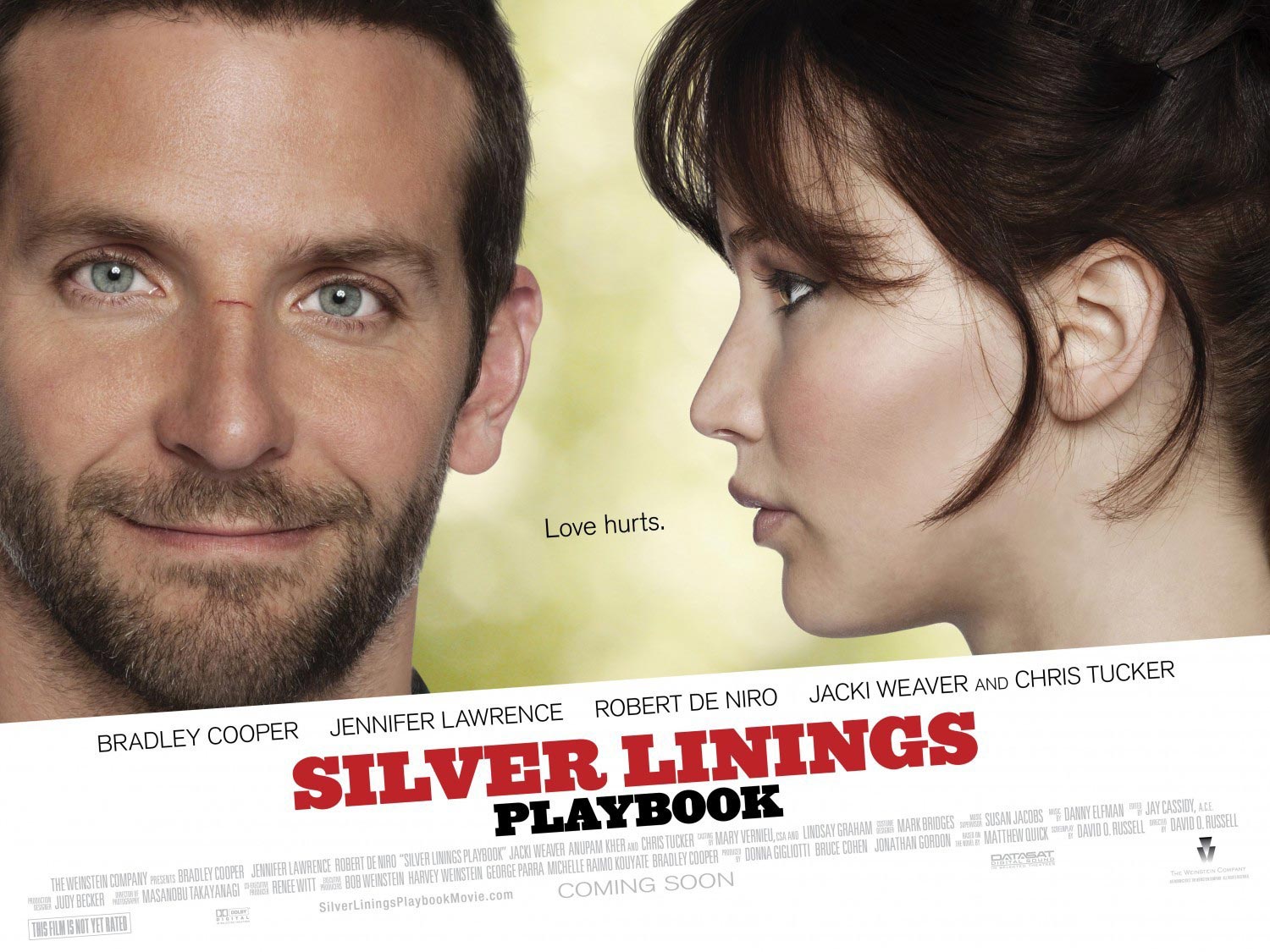 “Silver Linings Playbook” ganó en los premios Spirit antes de la ceremonia de los Oscars