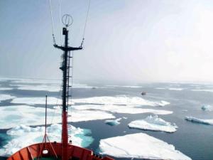 El volumen de hielo en el Ártico bajó un entre 2003 y 2012