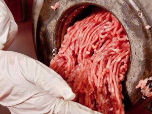 Unión Europea aprueba plan para luchar contra fraude con carne de caballo