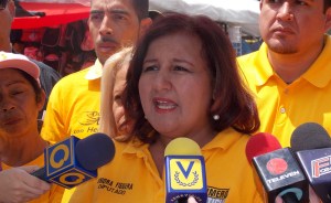 Dinorah Figuera critica que leyes para la seguridad no son prioridad para el Gobierno