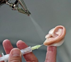 Crean orejas artificiales en EEUU