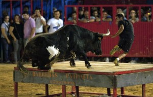 Muere “Ratón”, el célebre y sanguinario toro bravo español (Fotos)
