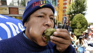 Campesinos salen a celebrar el día del mascado de coca en Bolivia