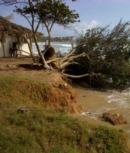 Marea de la bahía de pescadores de El Tirano se acerca a la carretera