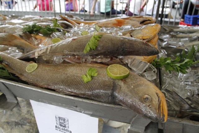 Feria del Pescado 2013 Alcaldía de Maracaibo (25)