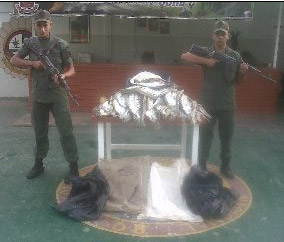 GN retuvo 120 kilos de pescado en Apure