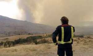 Se han reportado 25 incendios en Lara por temporada de sequía