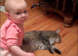 El gato más dócil y paciente del mundo (Video)