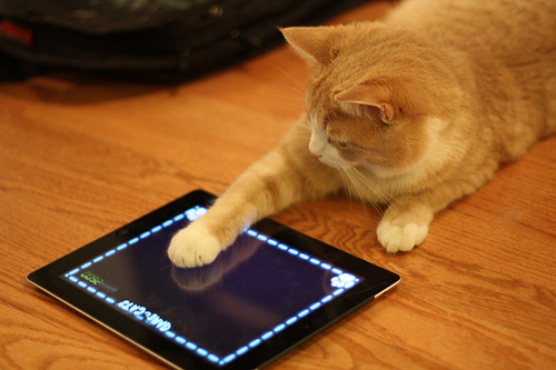 Aplicaciones de iPad para gatos no atraen a los felinos