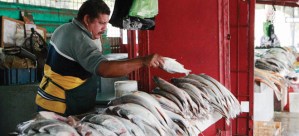 Precios del pescado escandalizan en Puerto La Cruz