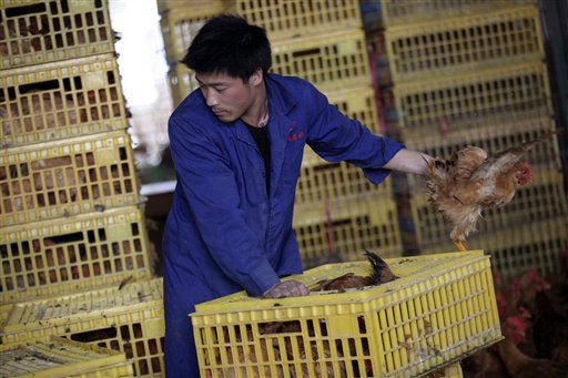 Seis muertos y 16 ingresados por gripe aviar H7N9 en el este de China