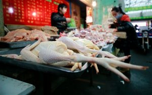 China mata a aves en mercado por gripe aviar