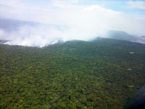 Incendio en Canaima ha afectado más de 1.000 hectáreas