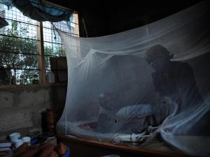 Las mosquiteros pueden reducir mortalidad infantil por malaria