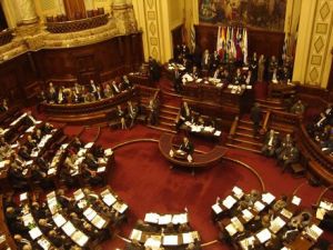 Legisladores de Parlasur piden reunión para tratar situación en Venezuela