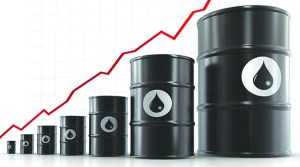 La Opep decidida a mantener su oferta petrolera con un precio de 100 dólares