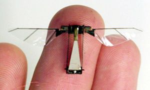 Crean “robot-mosca” para espionaje