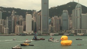 Un patito gigante nada en Hong Kong (Video)
