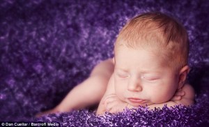 Bebés recién nacidos se acurrucan para las cámaras (Fotos + awww)