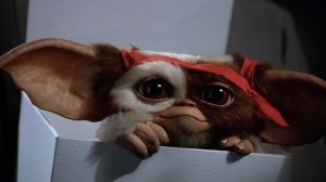 Los Gremlins podrían volver con un remake…¿Te gustaría?