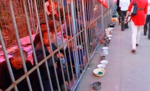 En China encierran a mendigos en jaulas para que no molesten a turistas (Fotos)