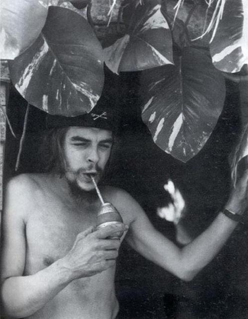 “Ché” Guevara tomando su mate