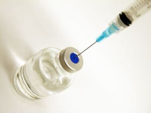 Patentan vacuna contra miasis causada por la “mosca de la muerte”