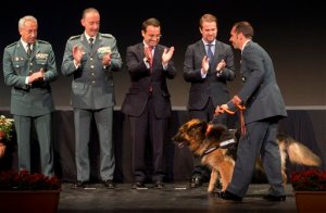 España premia a perro policía por su valentía