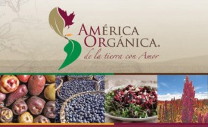 América Orgánica y Edgar Leal inician ciclo de cocina orgánica creativa