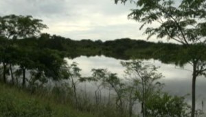 La Orinoquia colombiana lucha por su conservación (Video)