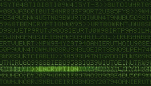 Cómo esconder tu información de los espías y hackers en Internet