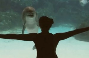 Esta chica logra que un delfín se ría (Video)