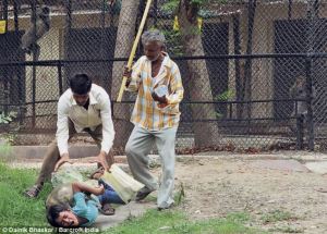 Espantoso momento en el que un niño es atacado por furioso mono dentro del zoológico (Fotos)
