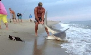 El tipo que sacó un tiburón de la playa por la cola (como para qué)