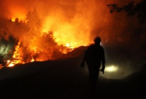 Incendio en Yosemite pudo haber sido causado por cultivadores ilegales de marihuana