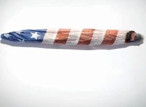 EEUU permitirá el uso de la marihuana con fines recreativos en algunos estados