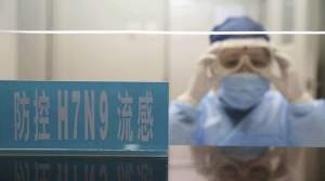 Estudio afirma que la nueva cepa H7N9 puede transmitirse por vía fecal